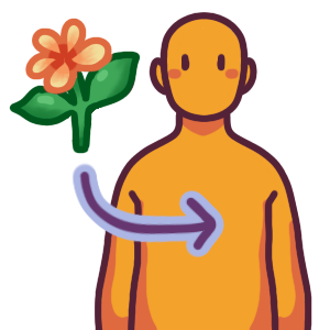  a teen with an arrow drawn between them and a plant with two large leaves and a yellow-orange flower.